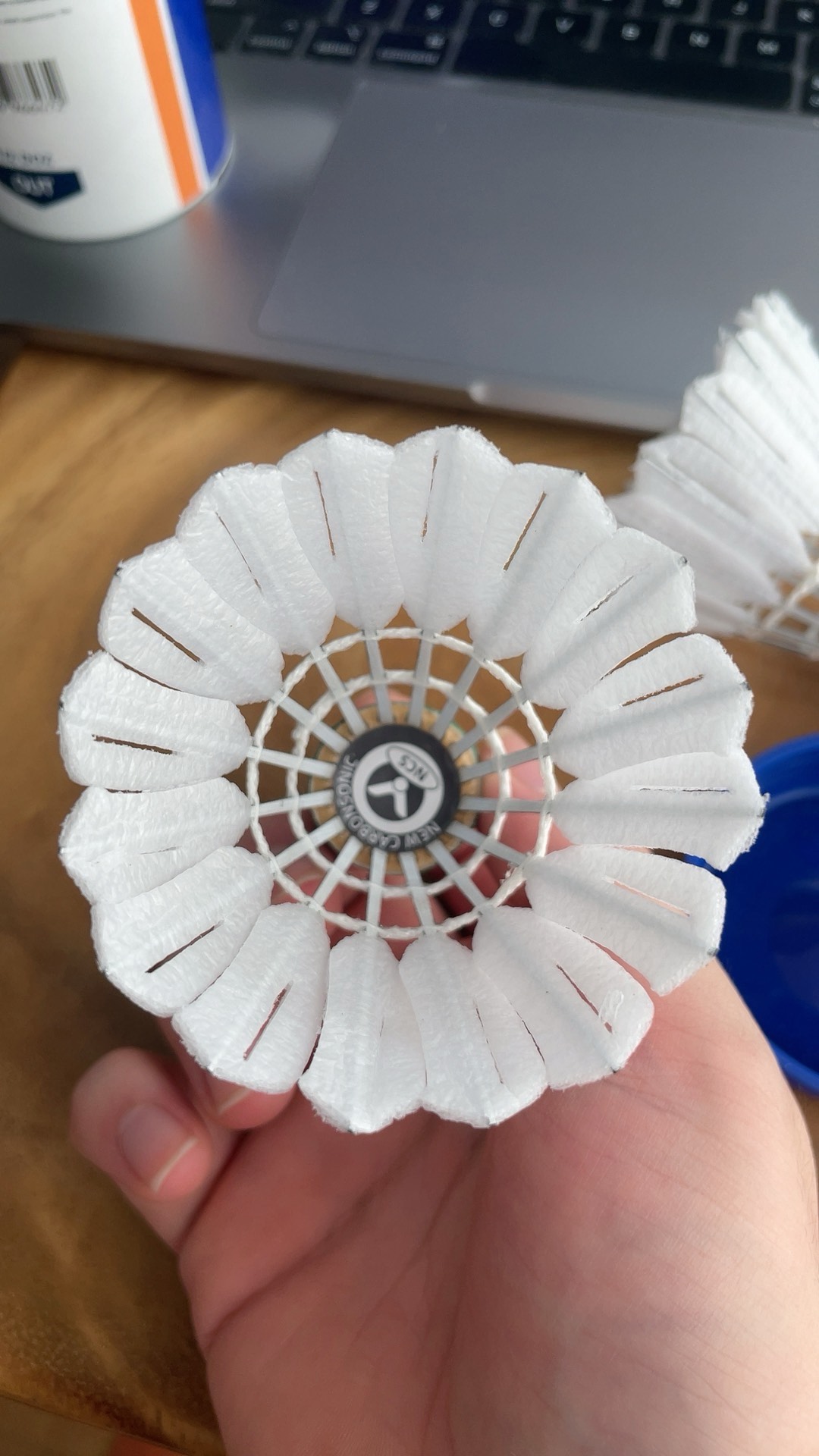 他们是否能 他们是否能