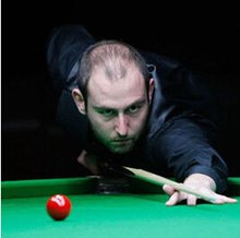 不可或缺的 不可或缺的