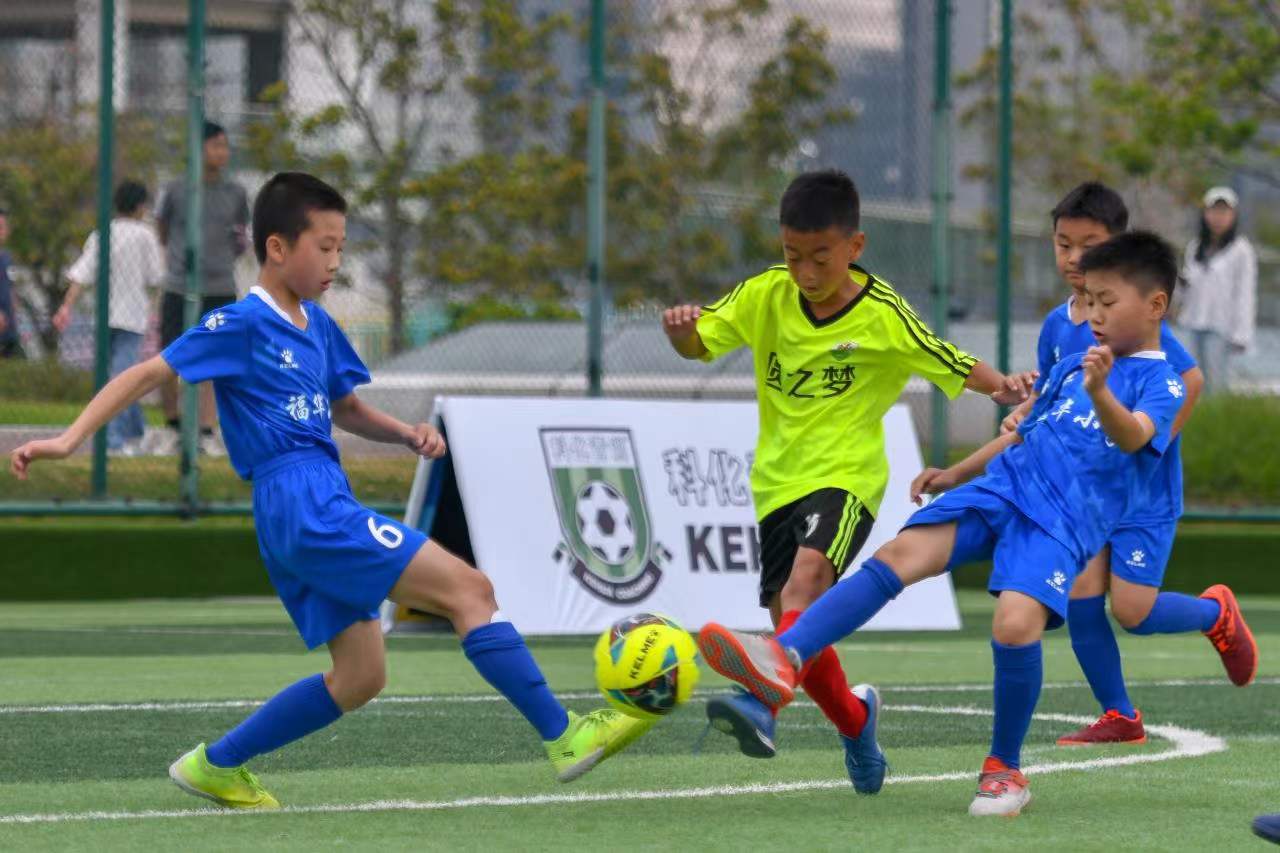 正面效应 正面效应