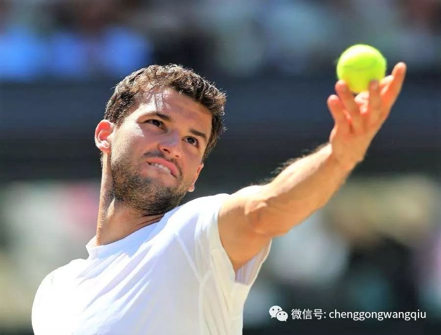 赢得了评委 赢得了评委