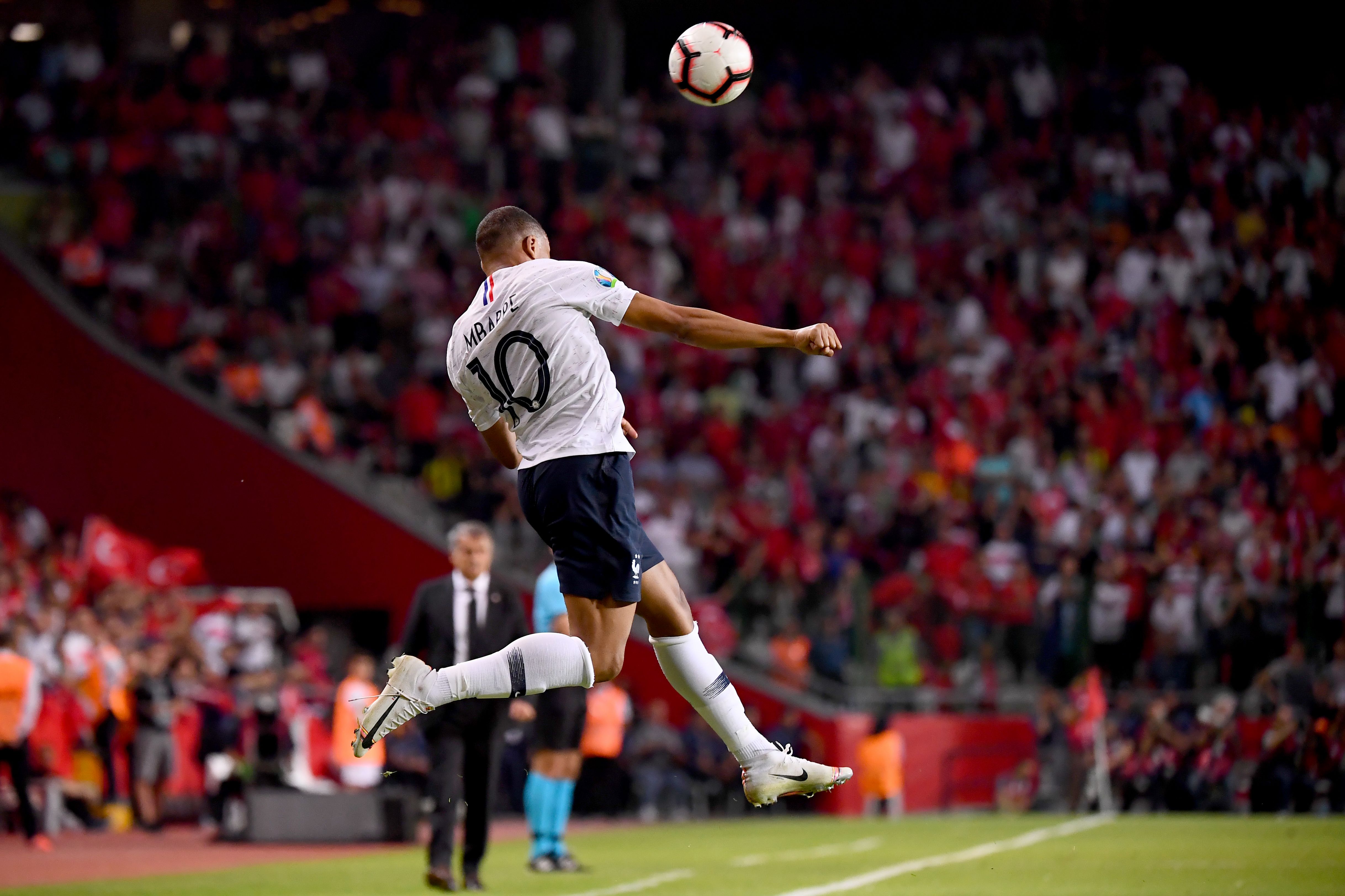 所分析的 所分析的