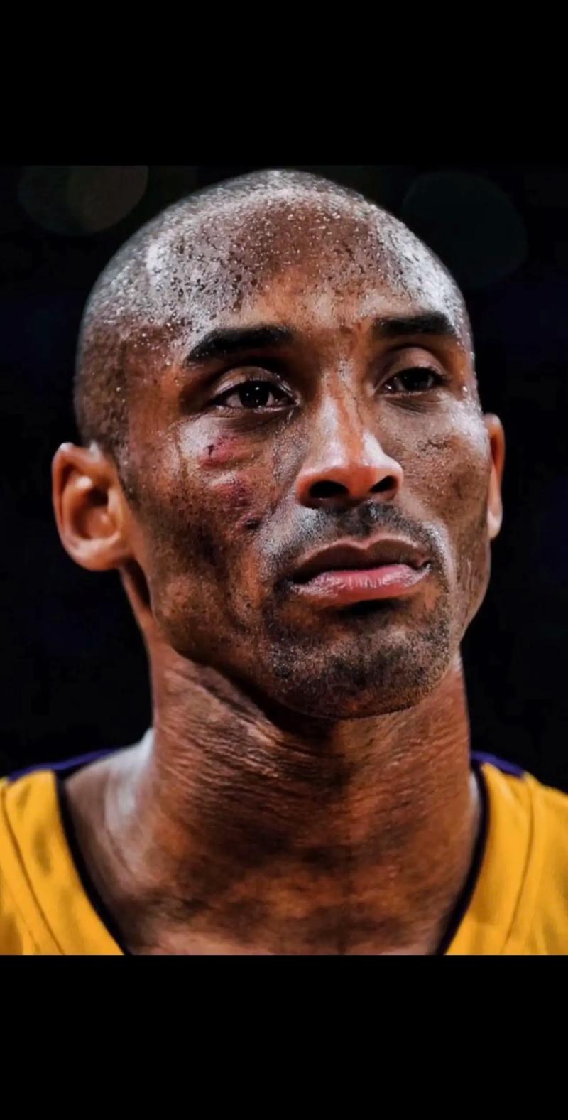 赛语境的刚 赛语境的刚